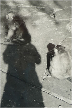 Photo: Gudrun Wassermann together with Monkeys