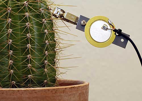 Piezo-microphone