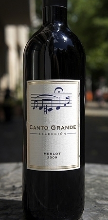 Wine from Chile